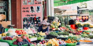 Pros and Cons of Buying Expired Domains for SEO: Is It Worth It? pexels photo 30372198