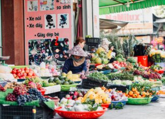 Pros and Cons of Buying Expired Domains for SEO: Is It Worth It?