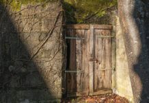 Expired Domains: Discover Their Hidden Goldmine or Risk Today?