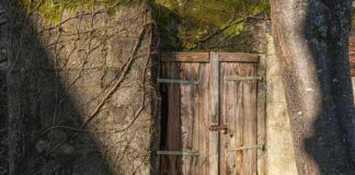 Expired Domains: Discover Their Hidden Goldmine or Risk Today? pexels photo 30398282