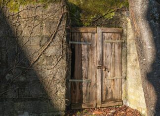 Expired Domains: Discover Their Hidden Goldmine or Risk Today?