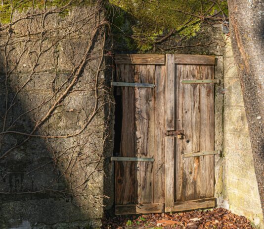 Expired Domains: Discover Their Hidden Goldmine or Risk Today? pexels photo 30398282