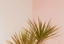 Domain Flipping: Avoid These Common Mistakes for Success pexels photo 3489128