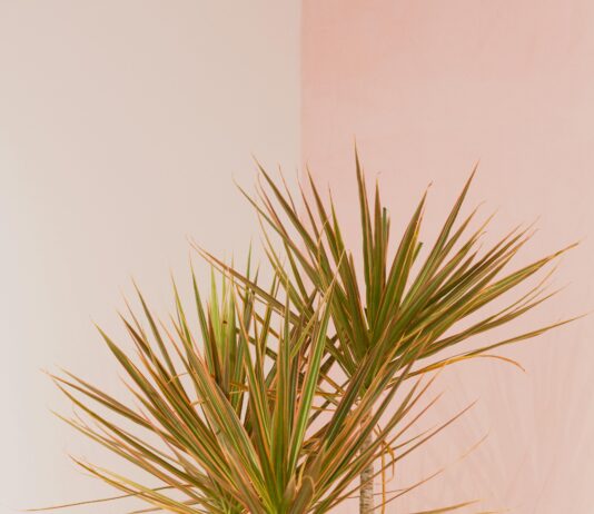 Domain Flipping: Avoid These Common Mistakes for Success pexels photo 3489128