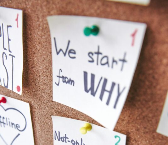 pexels photo 3782142