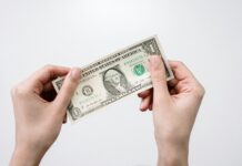 Registrar Updates: How to Manage Domain Transfers Efficiently? pexels photo 3943748