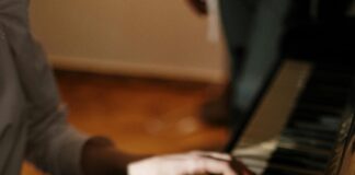 pexels photo 4038314