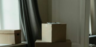 Registrar Updates That Could Affect Your Renewal Fees: What To Know pexels photo 4562383