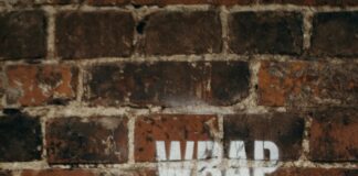 Choosing the Right Registrar for Your Domain Needs: Key Tips Revealed pexels photo 4753887