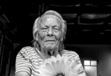 How Domain Age Influences Its Value: Discover Key Insights Today