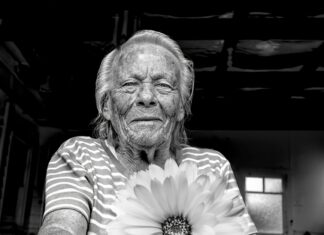 How Domain Age Influences Its Value: Discover Key Insights Today