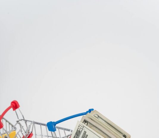 How to Participate in Domain Auctions Without Losing Money Effectively Which Domain Strategy Boosts Your AI Startup