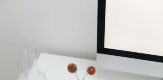 Current Domain Trends: What They Mean for Aspiring Entrepreneurs pexels photo 6177572