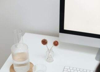 Current Domain Trends: What They Mean for Aspiring Entrepreneurs