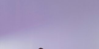 Domain Auction Strategies for Maximum Profit: Unlock Hidden Value pexels photo 6266508