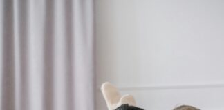 Risks Involved in Buying Expired Domains: What You Need to Know pexels photo 6608893