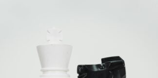 How to Win Big at Domain Auctions: Unlock Strategies for Success pexels photo 6693358