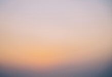 New gTLDs: Are They Worth Your Attention for Your Business Growth? pexels photo 6712383