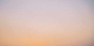 New gTLDs: Are They Worth Your Attention for Your Business Growth? pexels photo 6712383