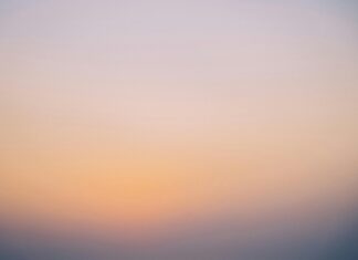 New gTLDs: Are They Worth Your Attention for Your Business Growth?