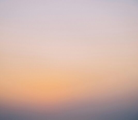 New gTLDs: Are They Worth Your Attention for Your Business Growth? pexels photo 6712383