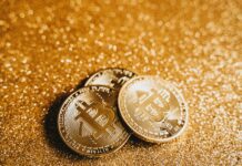 Why Premium Domains Are a Valuable Digital Asset for Success pexels photo 6765248 1