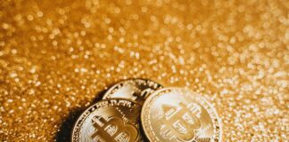 Why Premium Domains Are a Valuable Digital Asset for Success pexels photo 6765248 1