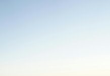 Investing in Domains: Discover Long-Term Gains and Strategies pexels photo 6837000