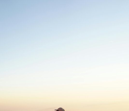 Investing in Domains: Discover Long-Term Gains and Strategies pexels photo 6837000