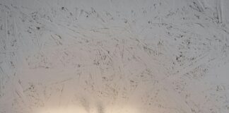 Registrar Changes: Essential Best Practices for Smart Domain Management pexels photo 6932280