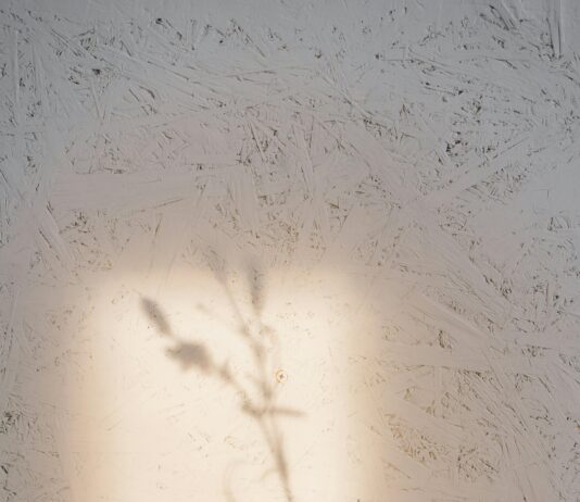 Registrar Changes: Essential Best Practices for Smart Domain Management pexels photo 6932280