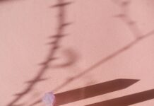 Predicting Future Domain Trends: What Will Shape Your Online Success?