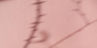 Predicting Future Domain Trends: What Will Shape Your Online Success? pexels photo 6944354