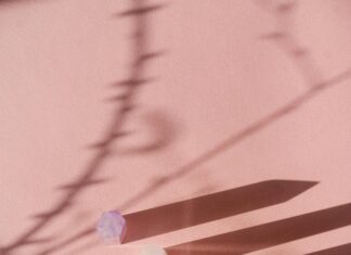 Predicting Future Domain Trends: What Will Shape Your Online Success?