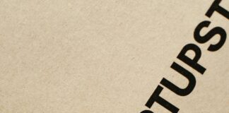 Domain Trends That Will Shape the Future of Branding: Are You Ready? pexels photo 6956343