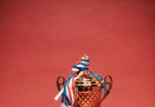 pexels photo 7005693