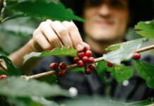 Picking a Domain Name That Drives Business Growth: Unlock Success