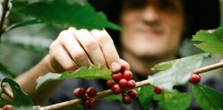 Picking a Domain Name That Drives Business Growth: Unlock Success pexels photo 7125549