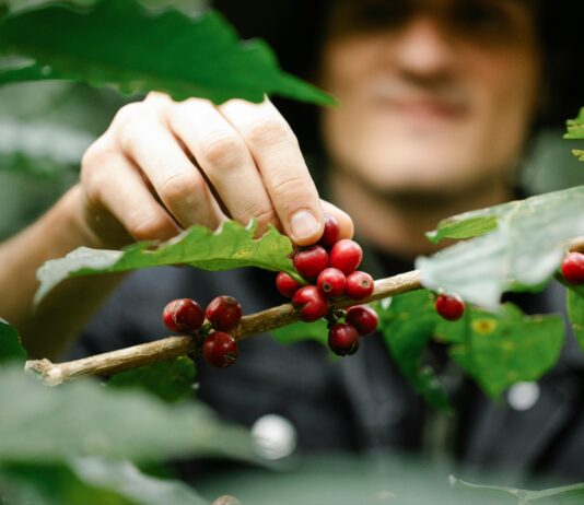 Picking a Domain Name That Drives Business Growth: Unlock Success pexels photo 7125549