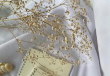 What Do Domain Brokers Actually Do? Unveiling Their Secrets