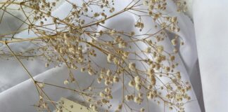 pexels photo 7150986