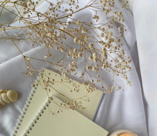 What Do Domain Brokers Actually Do? Unveiling Their Secrets pexels photo 7150986