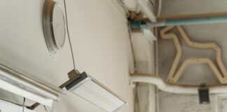 pexels photo 7480722