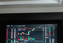 Domain Investing: Unlock Strategies For Long-Term Success Today pexels photo 7567203