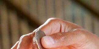 Building a Portfolio of Premium Domains: Unlocking Online Success pexels photo 7578984