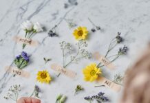 pexels photo 8690900