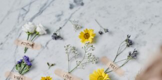 pexels photo 8690900