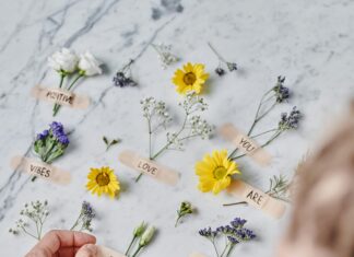 Emerging Domain Trends You Can’t Ignore: Are You Ready To Adapt?