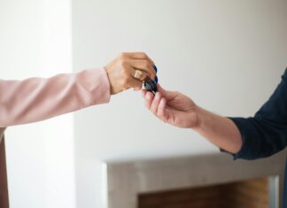 Why Entrepreneurs Are Moving Towards .AI Domains for Success