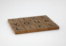 Domain Auctions: Essential Insights Before You Place Your Bid